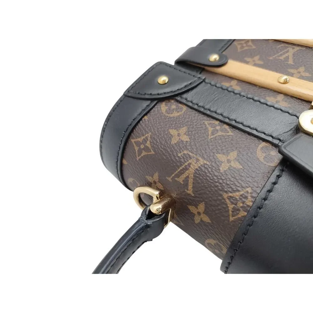 Louis Vuitton Trianon Trunk bag PM Monogram Wood LV crossbody tote Rare Handbag